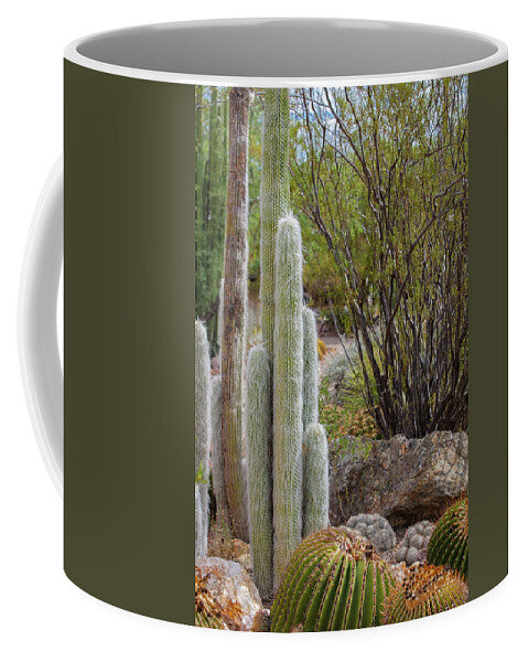 Cacti III - Mug
