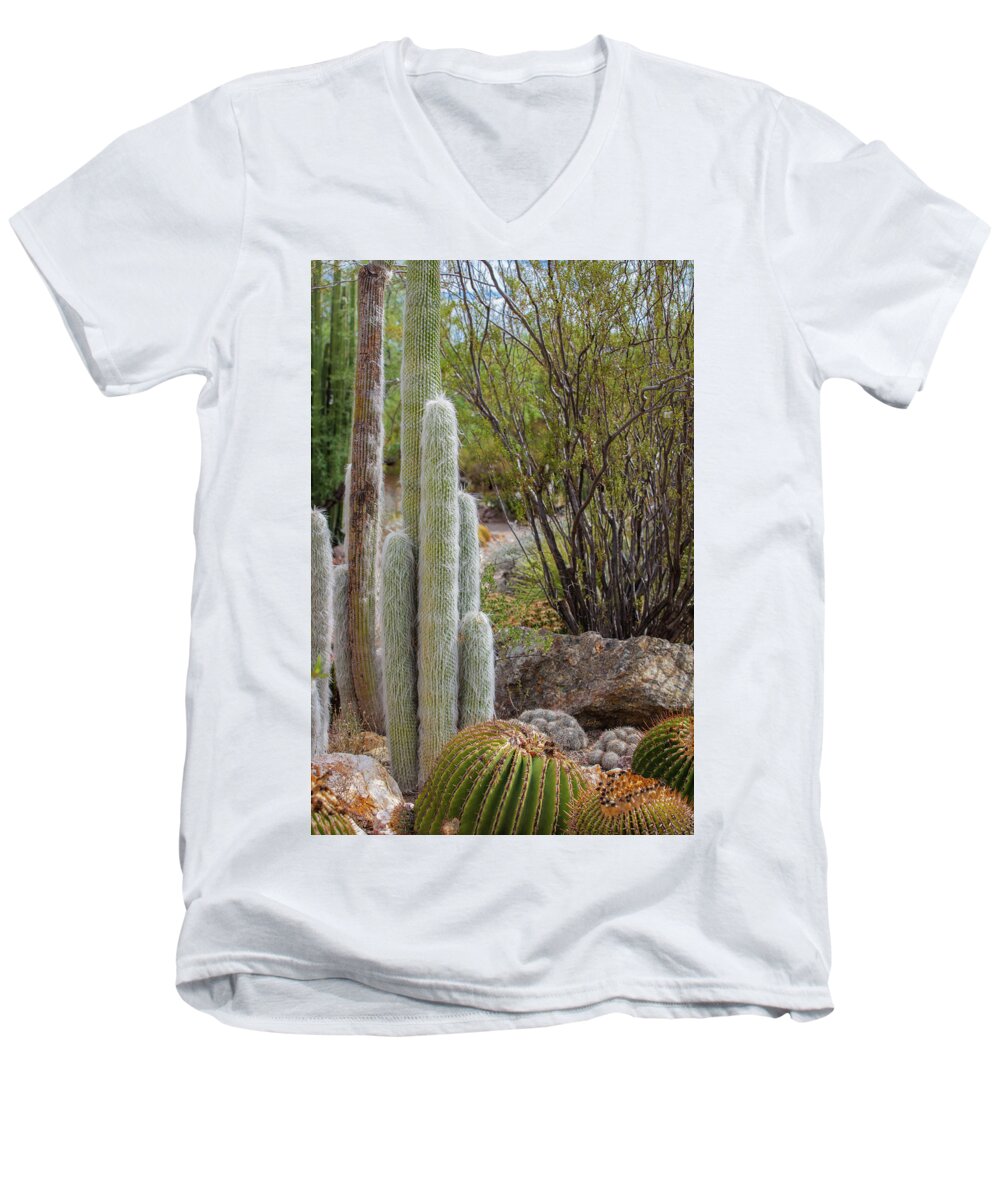 Cacti III - Men's V-Neck T-Shirt