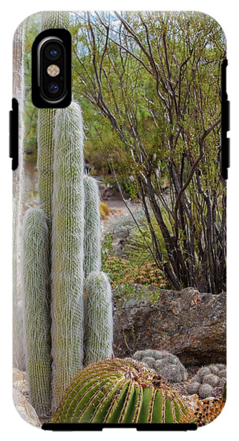 Cacti III - Phone Case