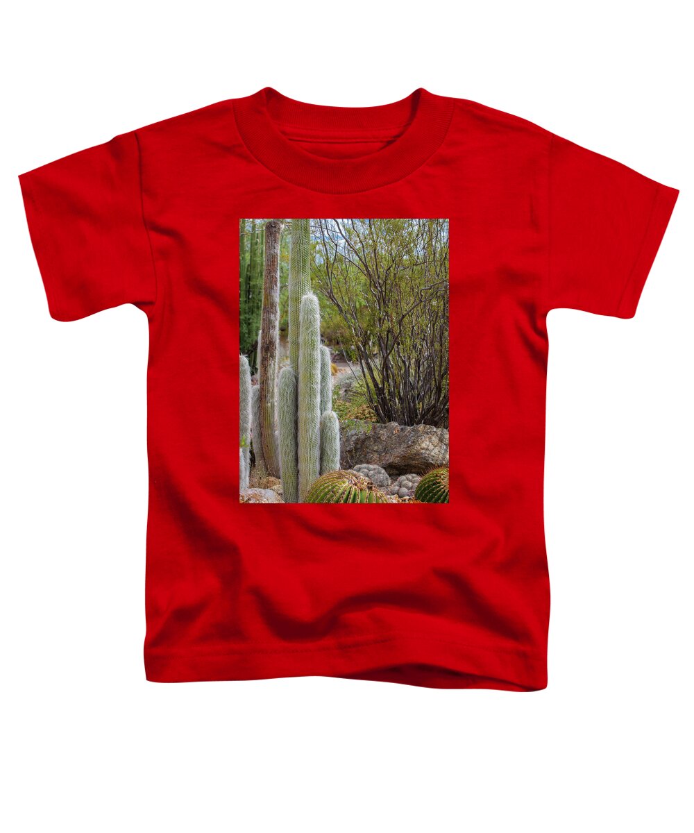 Cacti III - Toddler T-Shirt