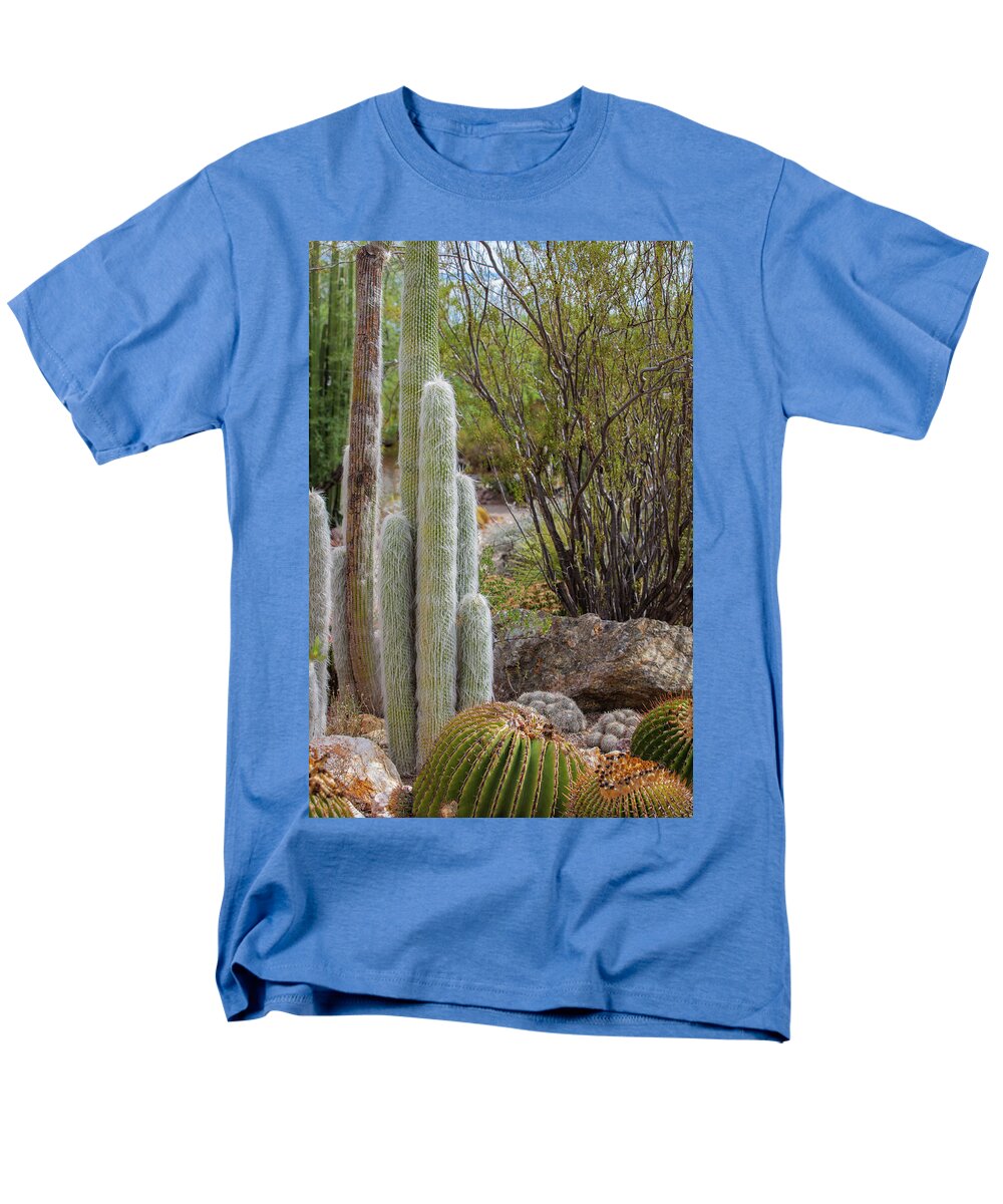 Cacti III - Men's T-Shirt  (Regular Fit)