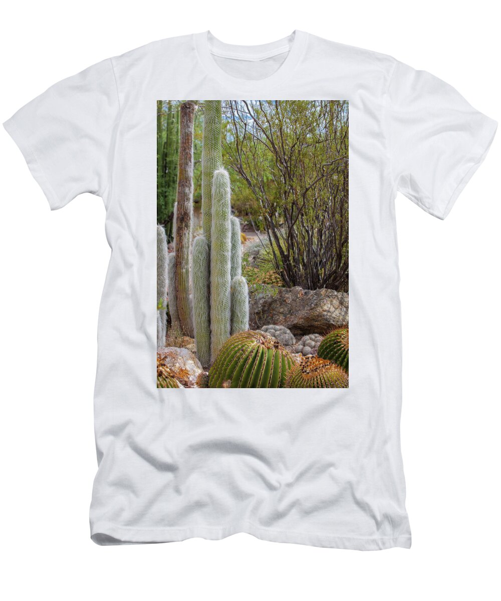Cacti III - T-Shirt