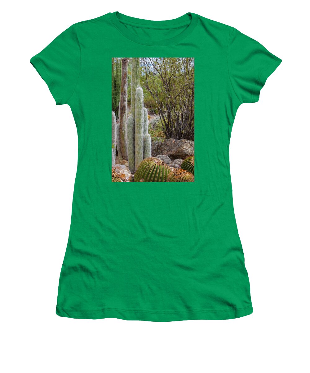 Cacti III - Women's T-Shirt