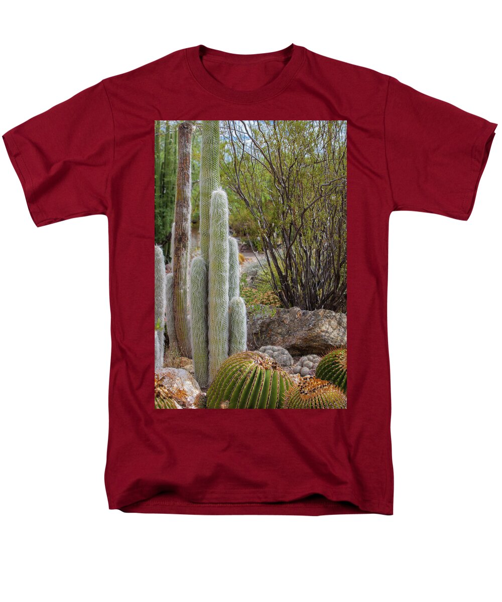 Cacti III - Men's T-Shirt  (Regular Fit)