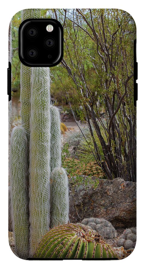 Cacti III - Phone Case