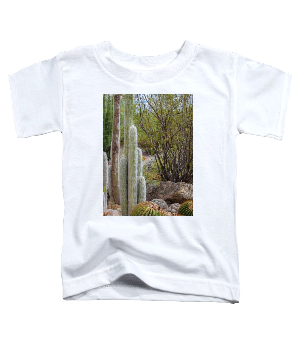 Cacti III - Toddler T-Shirt