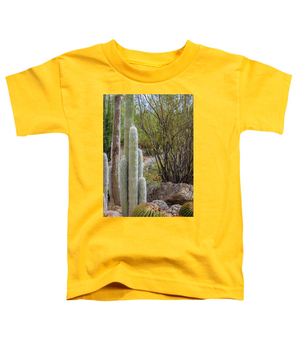 Cacti III - Toddler T-Shirt