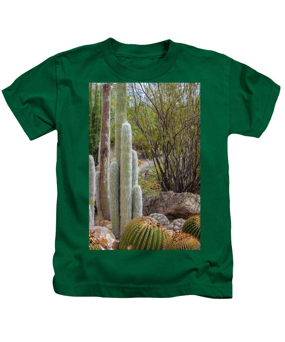 Cacti III - Kids T-Shirt