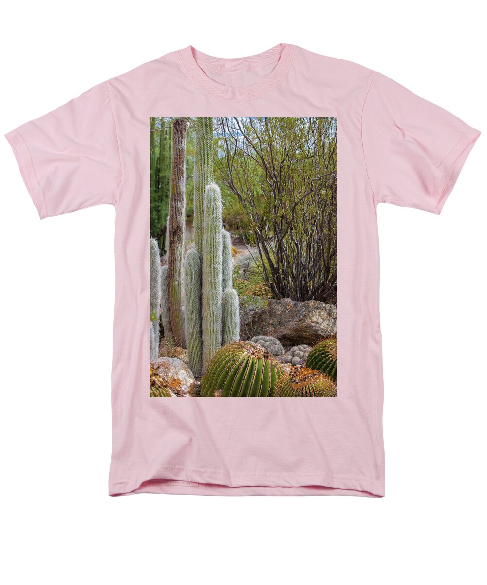 Cacti III - Men's T-Shirt  (Regular Fit)