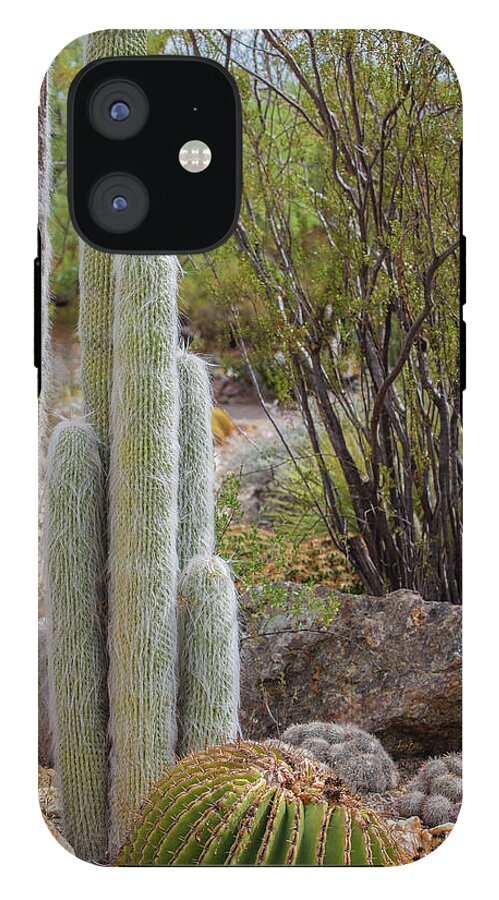 Cacti III - Phone Case