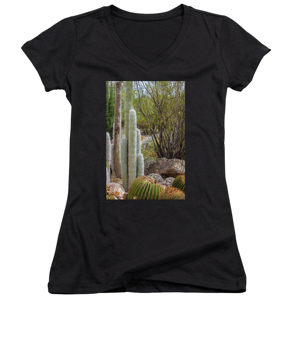 Cacti III - Women's V-Neck