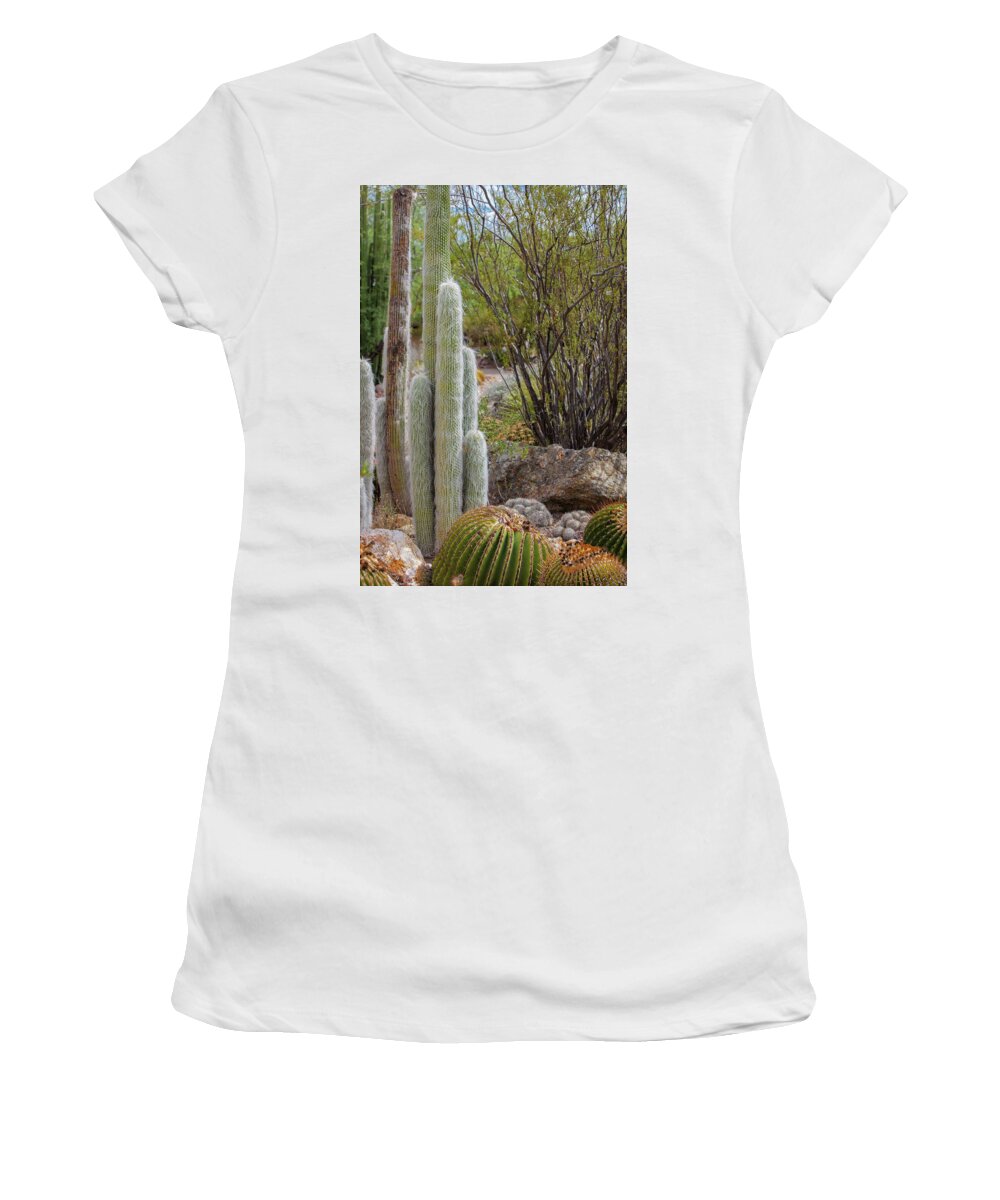 Cacti III - Women's T-Shirt