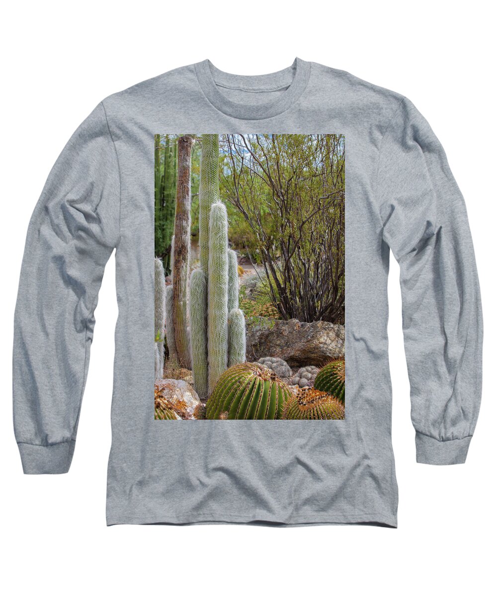 Cacti III - Long Sleeve T-Shirt