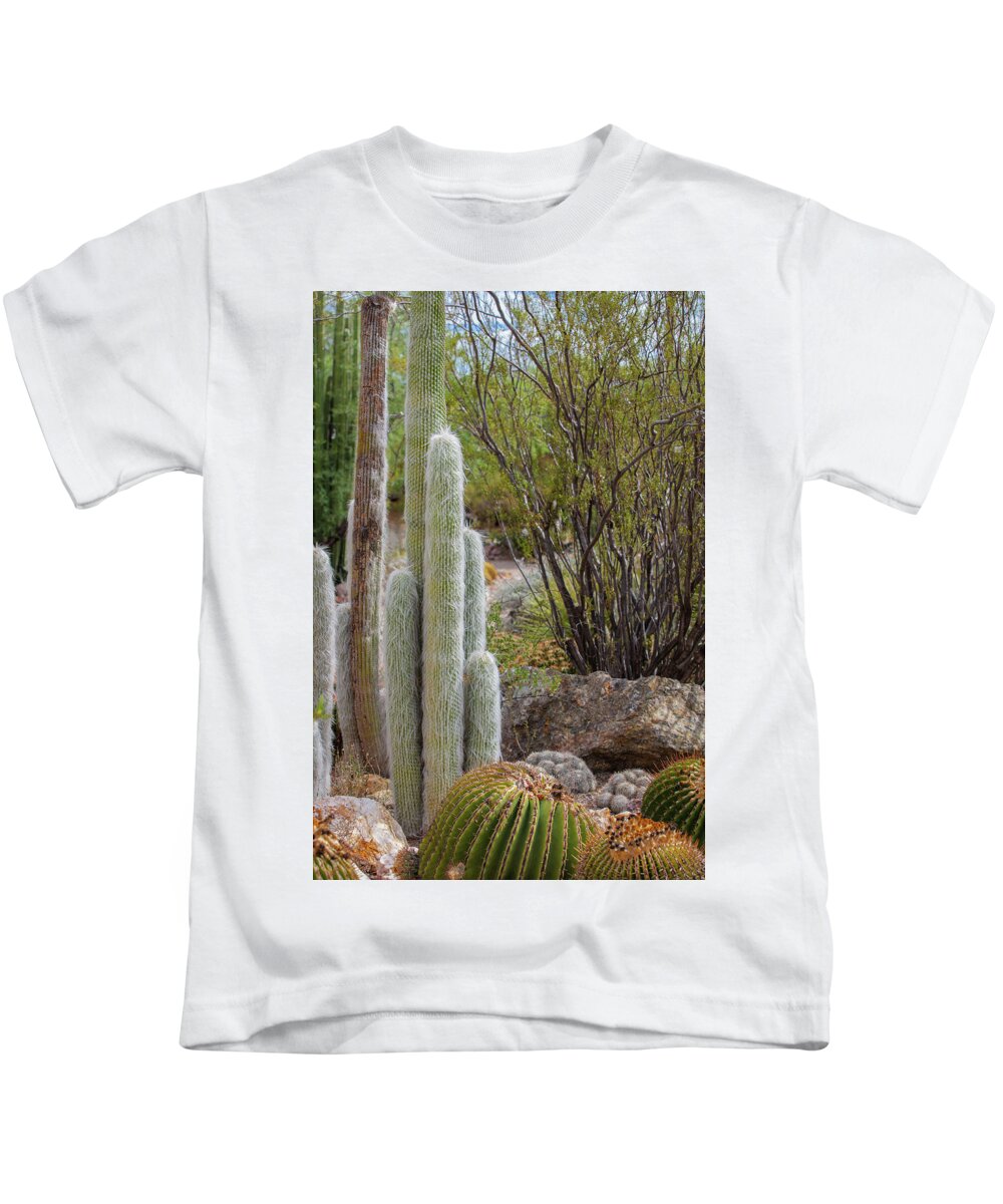 Cacti III - Kids T-Shirt