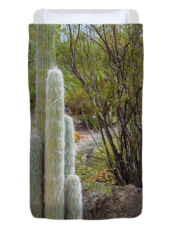 Cacti III - Duvet Cover