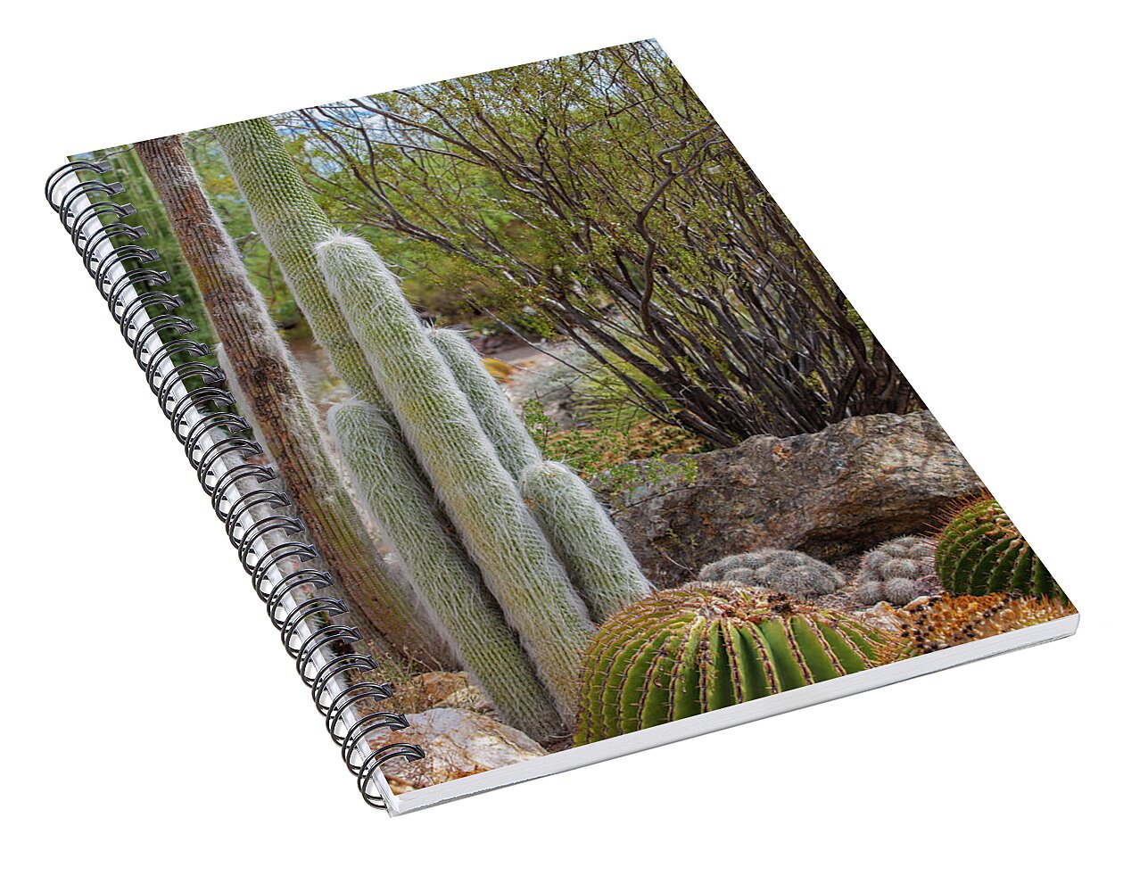 Cacti III - Spiral Notebook