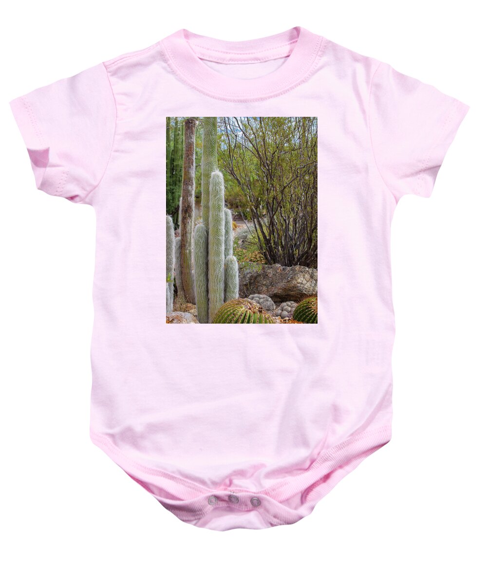 Cacti III - Baby Onesie