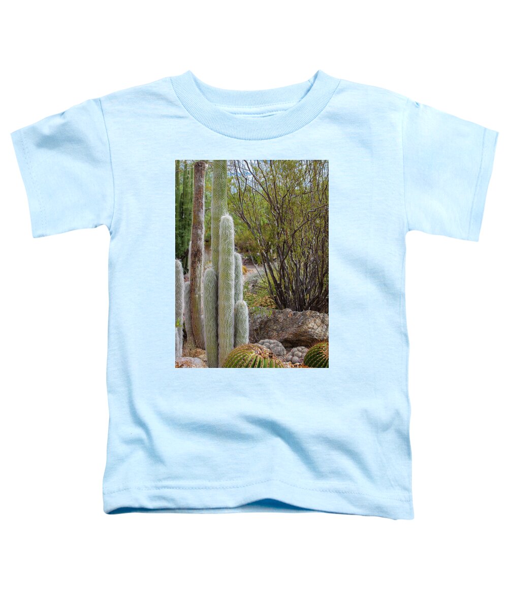 Cacti III - Toddler T-Shirt