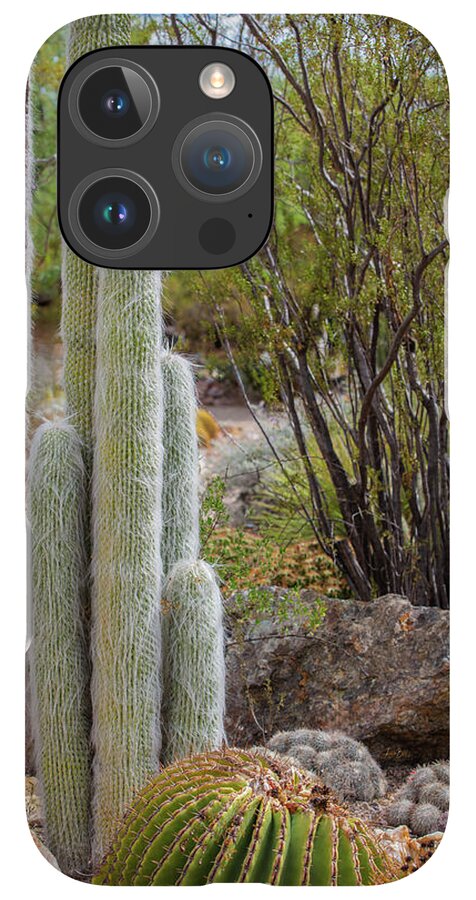 Cacti III - Phone Case