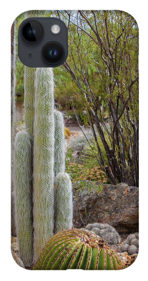 Cacti III - Phone Case