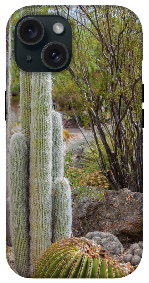 Cacti III - Phone Case