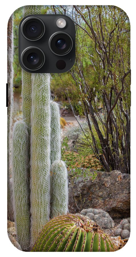 Cacti III - Phone Case