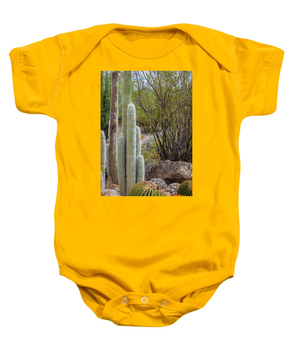 Cacti III - Baby Onesie