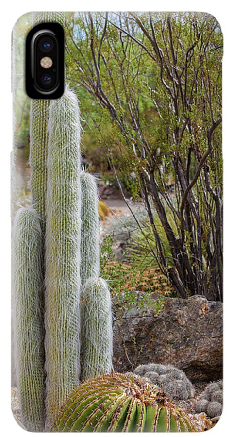 Cacti III - Phone Case