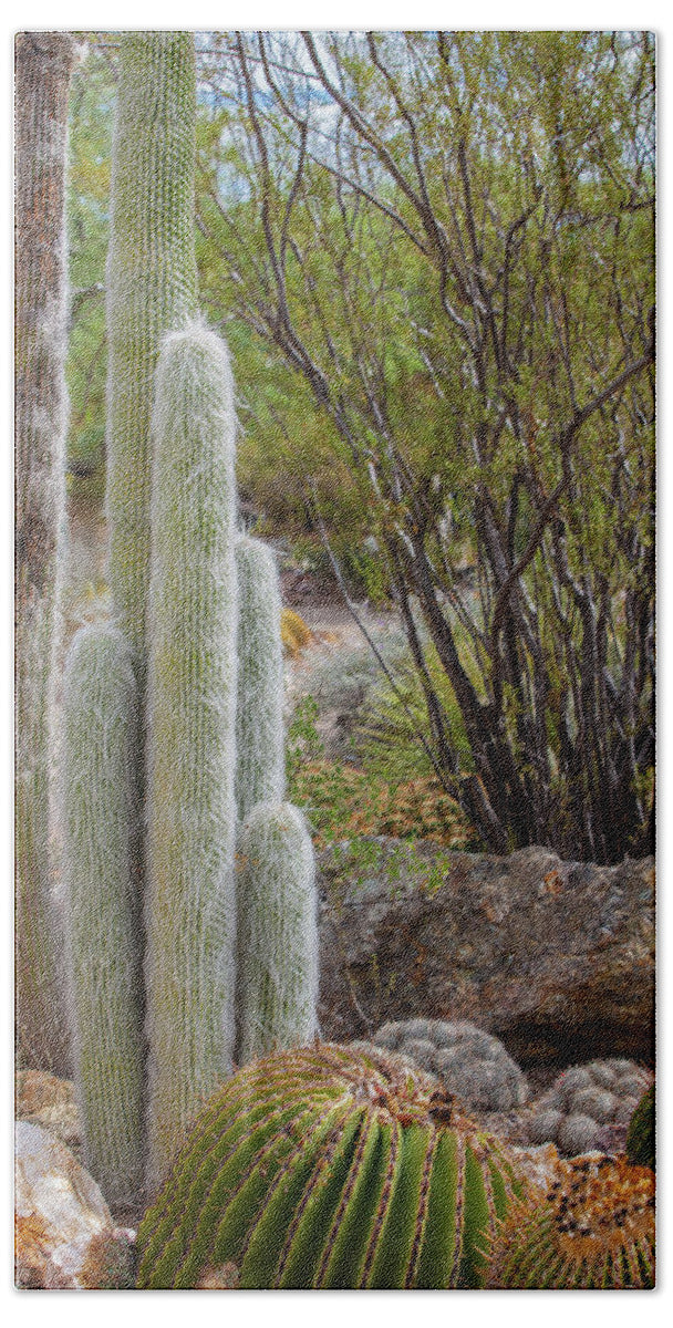 Cacti III - Bath Towel