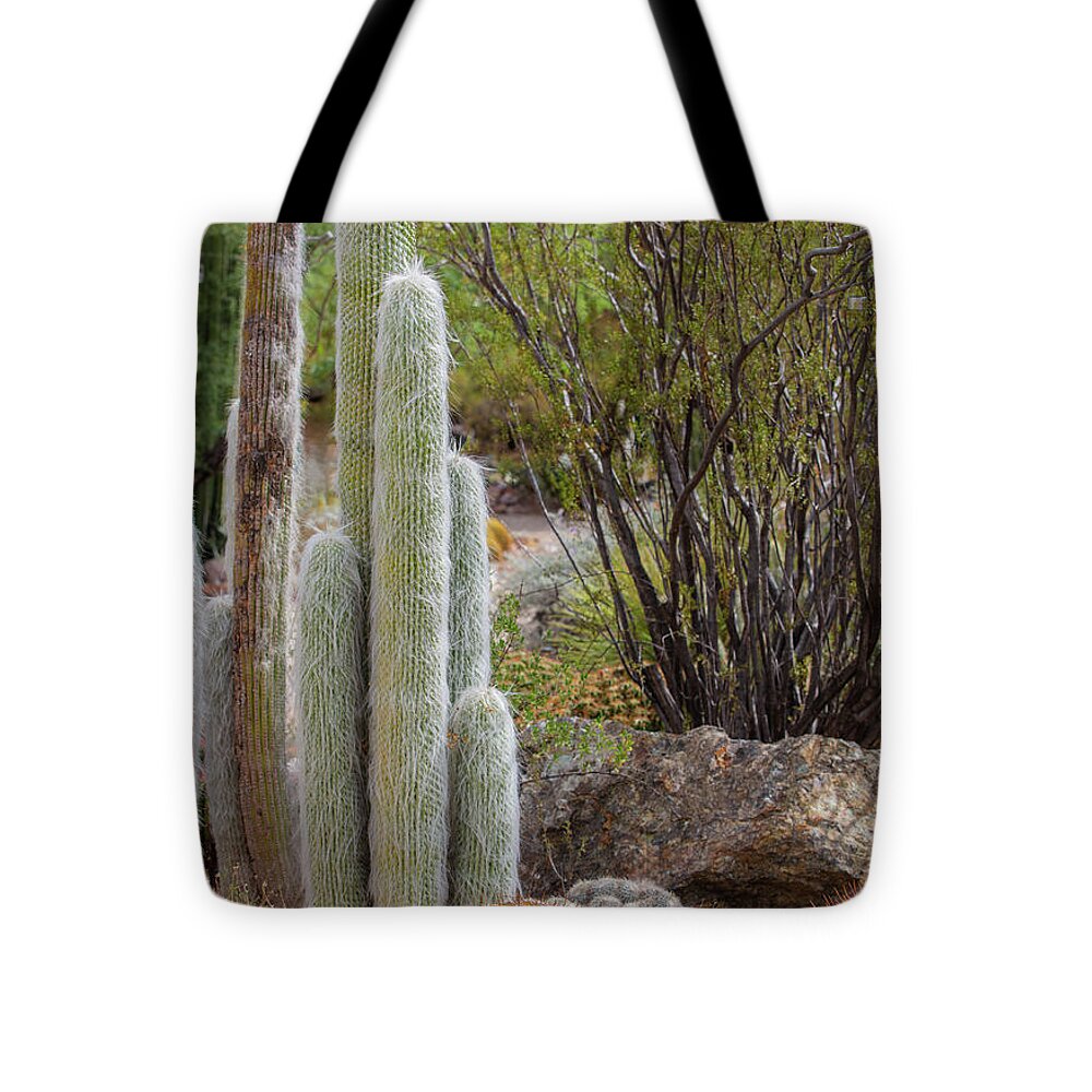 Cacti III - Tote Bag