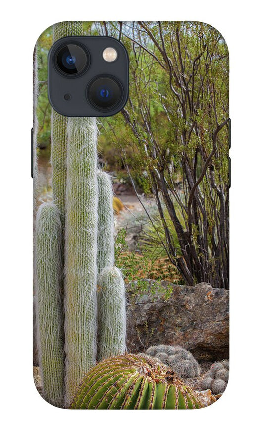 Cacti III - Phone Case