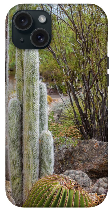 Cacti III - Phone Case