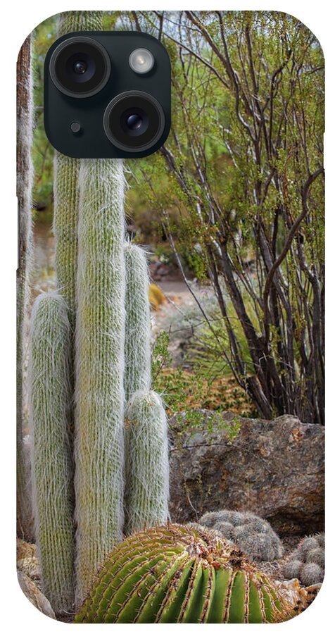 Cacti III - Phone Case