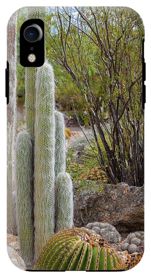 Cacti III - Phone Case