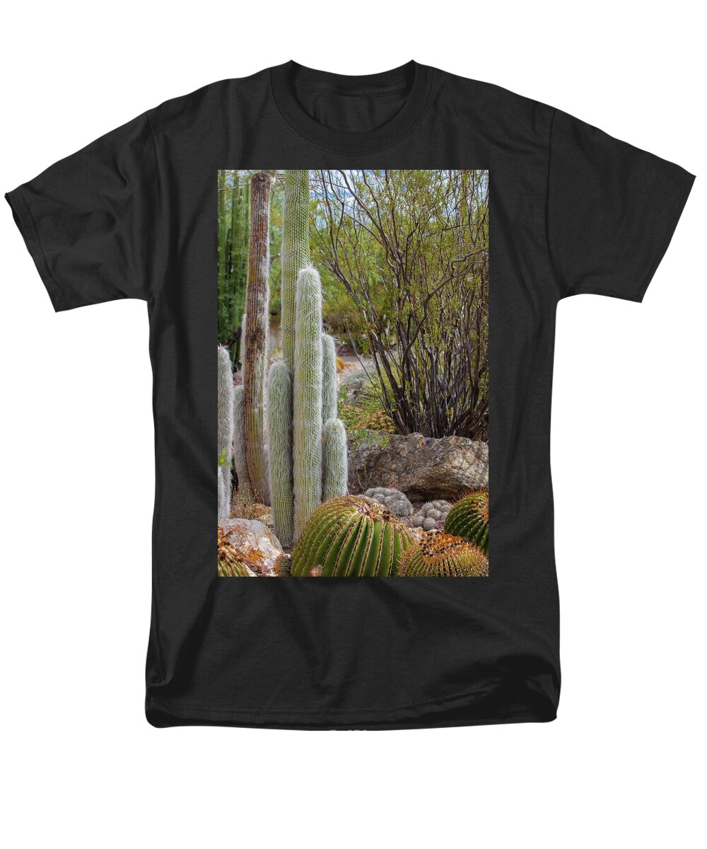 Cacti III - Men's T-Shirt  (Regular Fit)