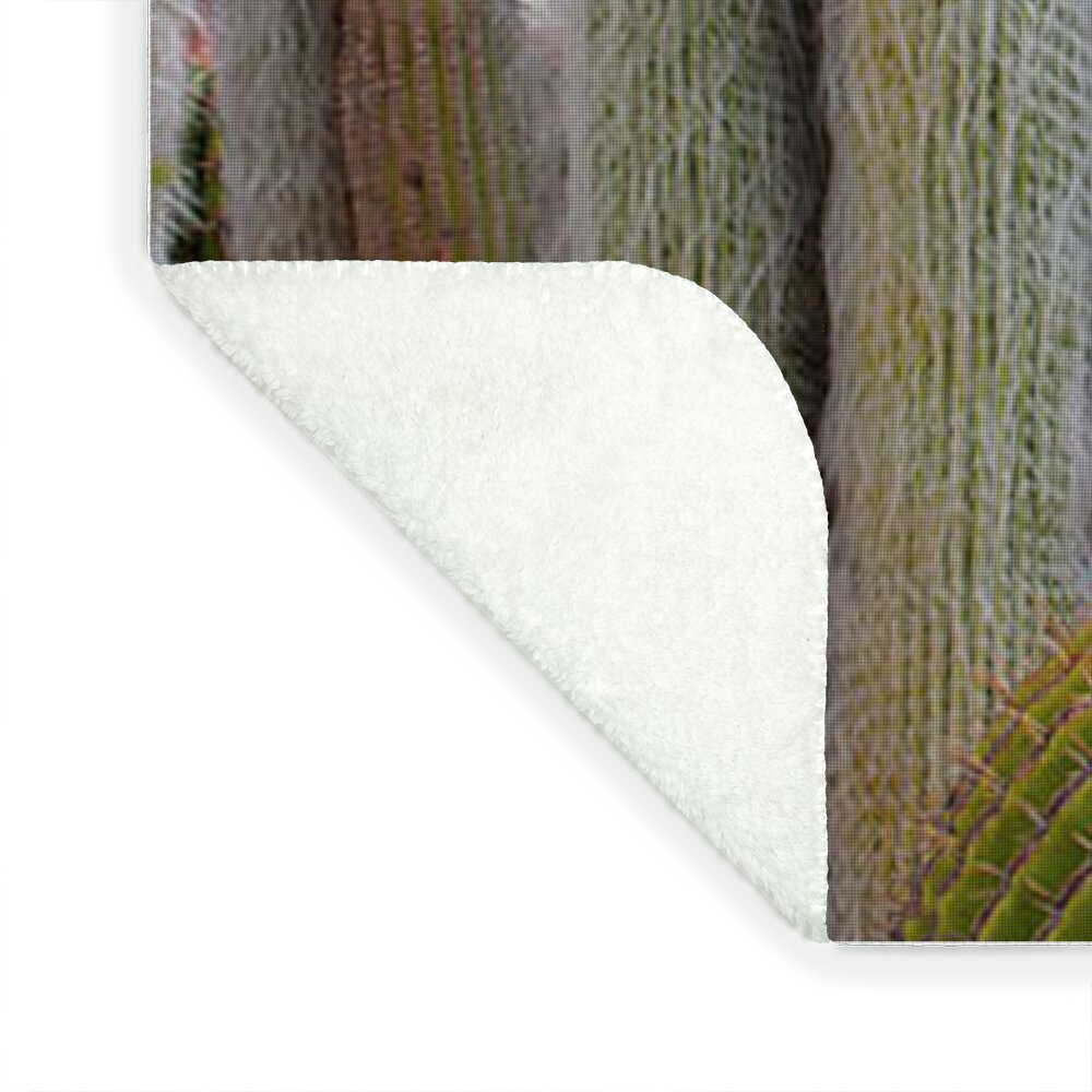 Cacti III - Blanket
