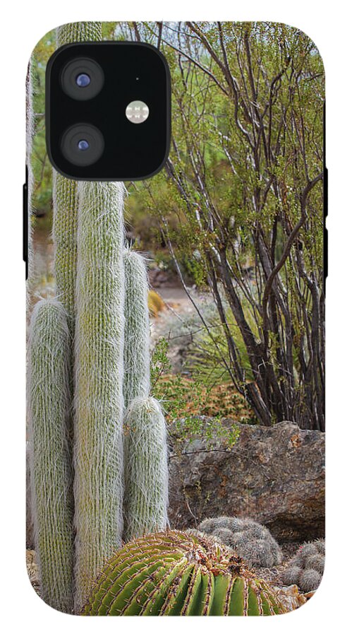 Cacti III - Phone Case