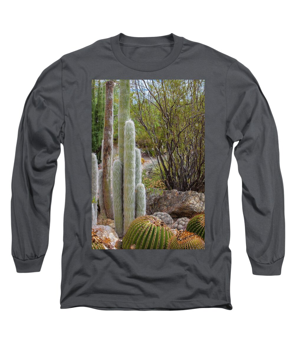 Cacti III - Long Sleeve T-Shirt