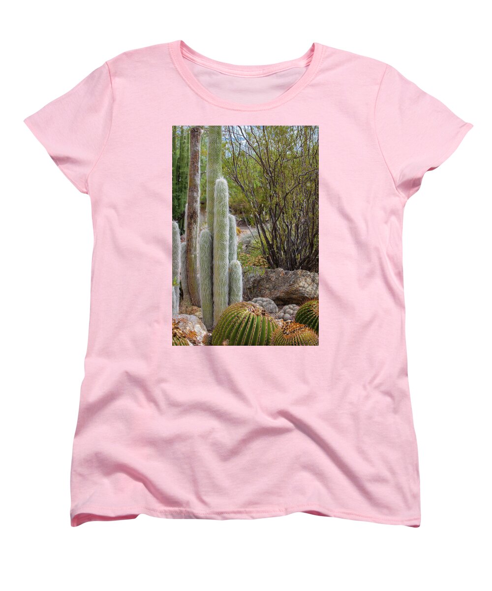 Cacti III - Women's T-Shirt (Standard Fit)