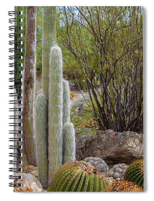 Cacti III - Spiral Notebook