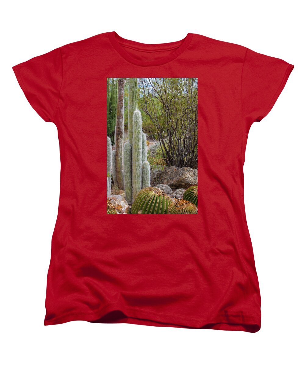 Cacti III - Women's T-Shirt (Standard Fit)