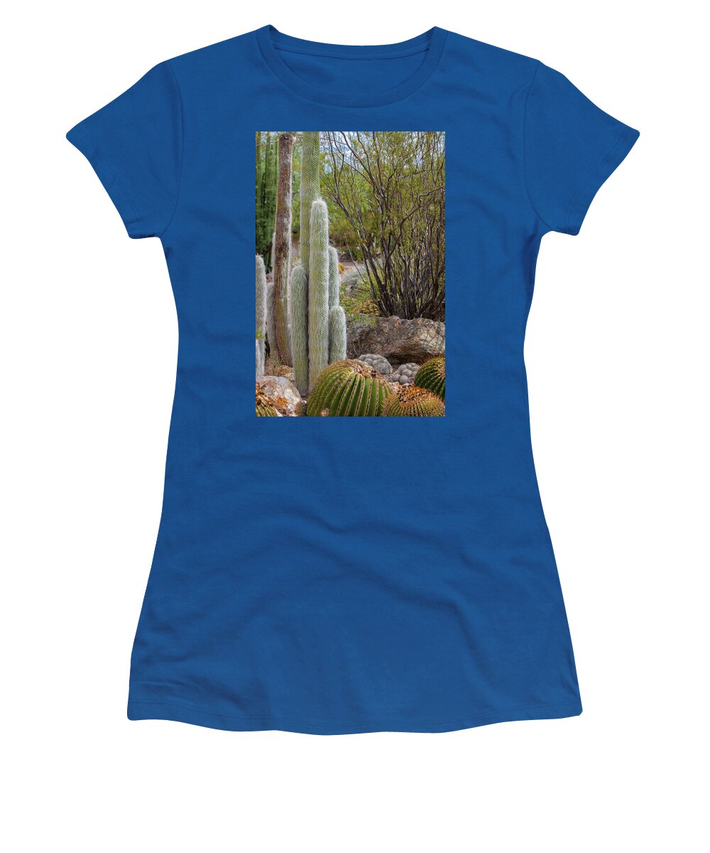 Cacti III - Women's T-Shirt