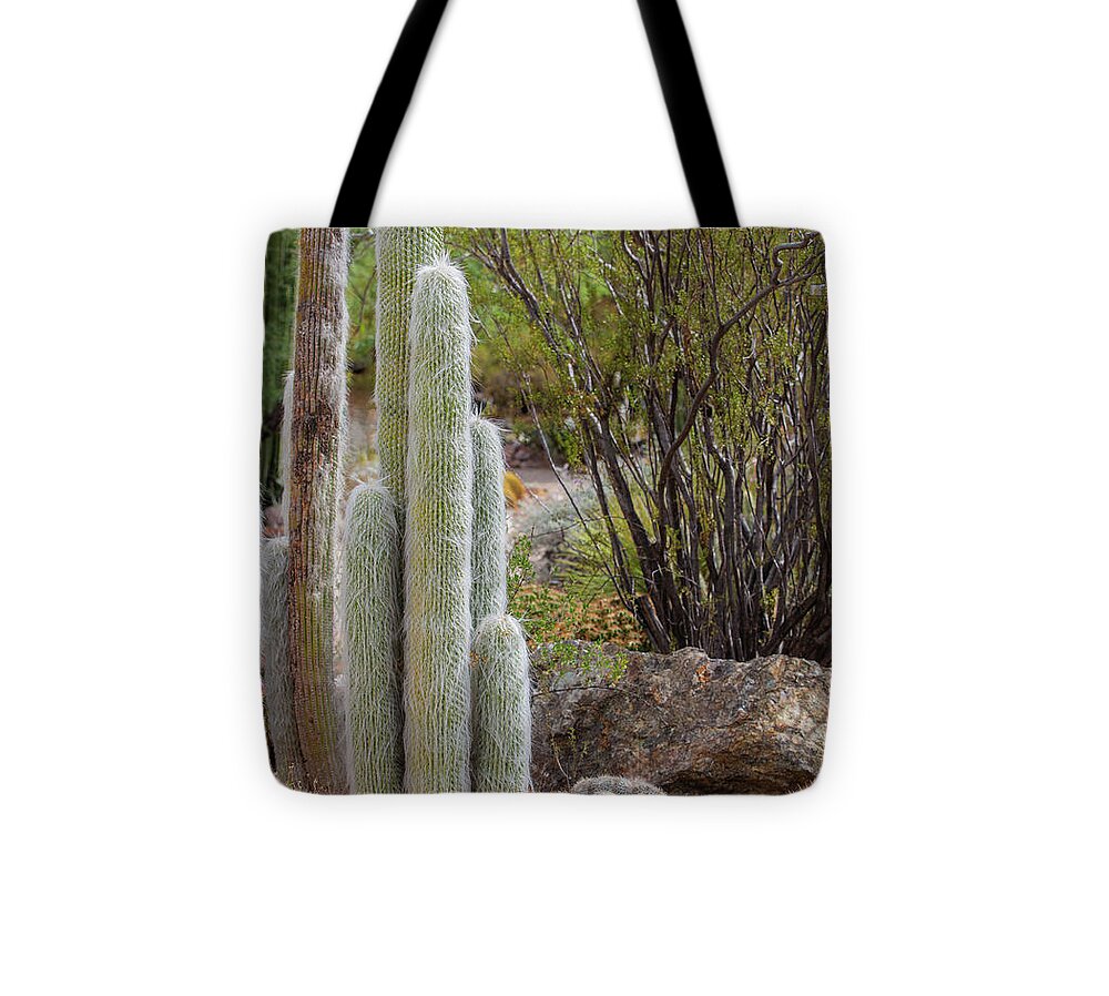 Cacti III - Tote Bag
