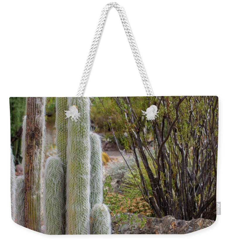 Cacti III - Weekender Tote Bag