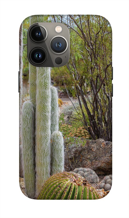 Cacti III - Phone Case