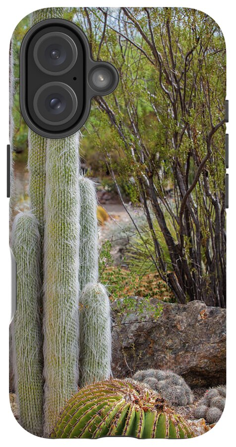 Cacti III - Phone Case
