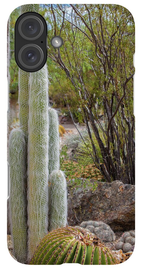 Cacti III - Phone Case