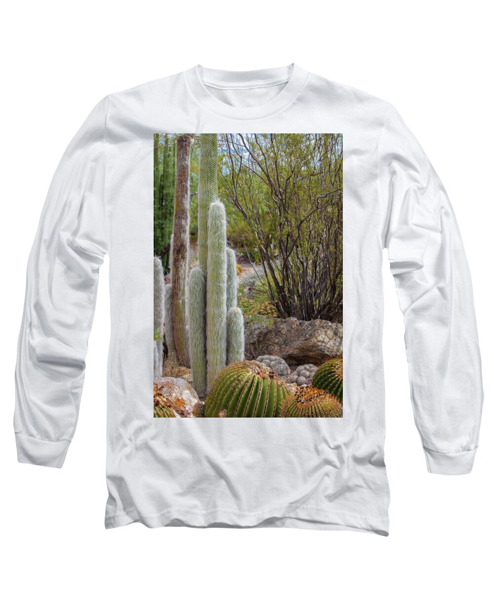Cacti III - Long Sleeve T-Shirt