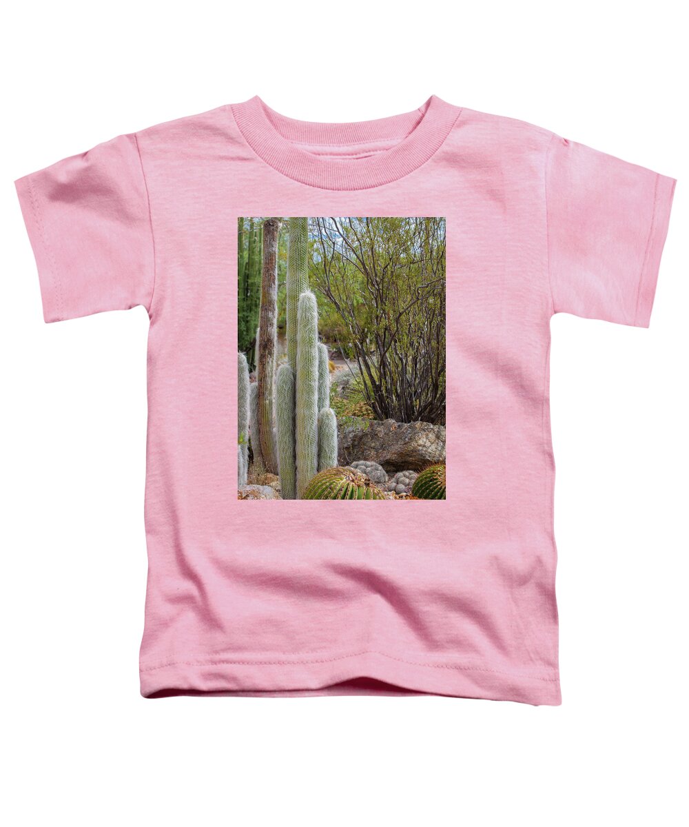Cacti III - Toddler T-Shirt
