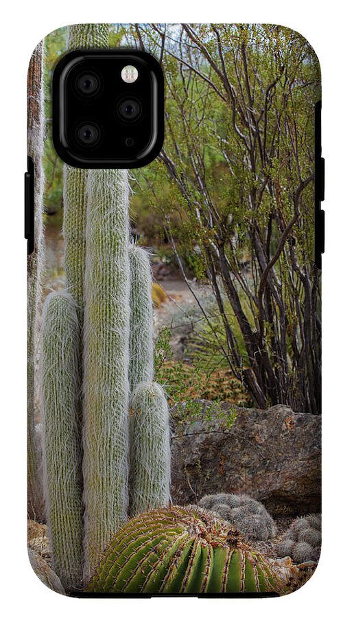 Cacti III - Phone Case